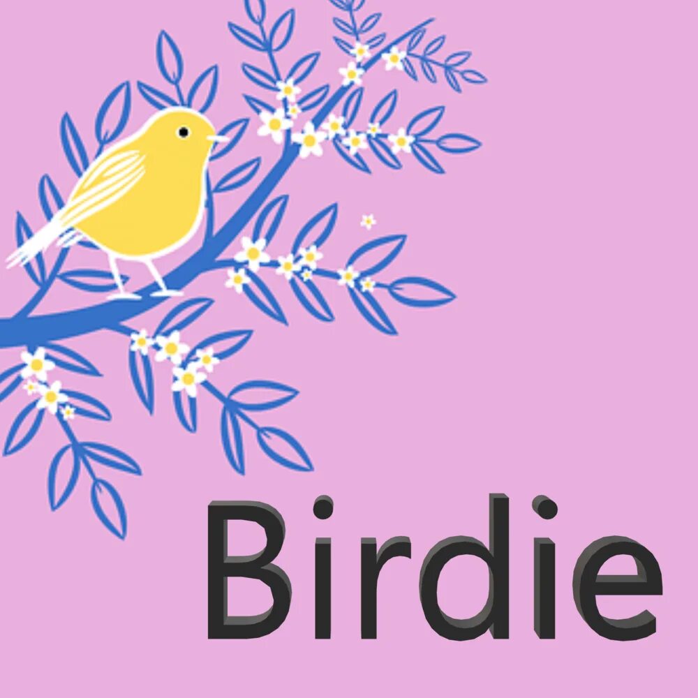 Birdie. Birdie Song. Random Bird. Hey Birdie, it s okay Birdie.