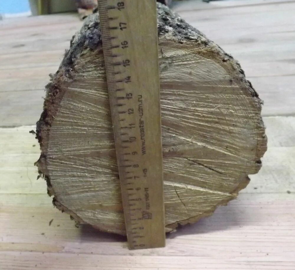 вяз поперечный срез. орех распил дерева. слэб древесины грецкого ореха. структура древесины грецкого ореха. слэб грецкого ореха.