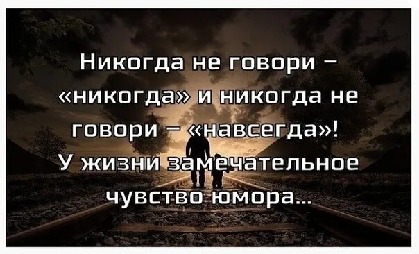 Никогда не говори никогда фраза. Никогда не говори никогда у жизни прекрасное чувство юмора. Никогда не говори никогда и с навсегда не торопись. Никогда не говори никогда цитата.