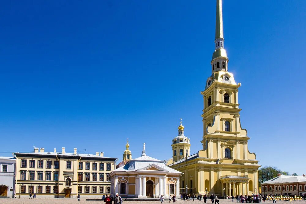 Трезини петропавловский собор. Здания петропавловского собора. Здания петропавловского собора. Петропавловский собор петропавловская крепость. Санкт- петербург.