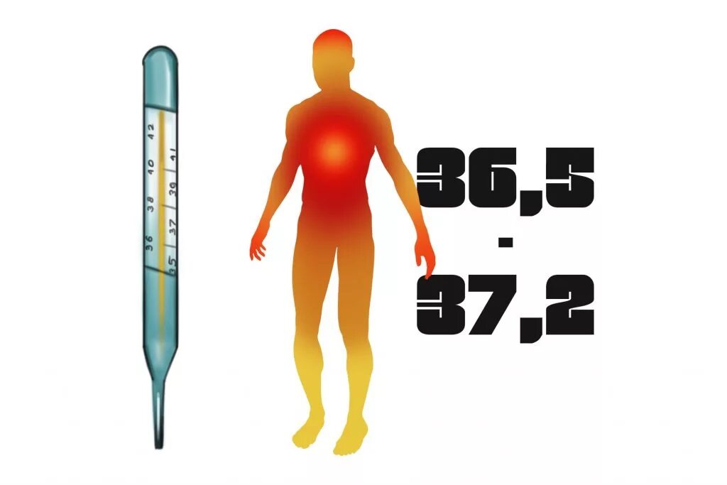 Температура человека. Температура человеческого тела. Пониженная температура. Человек с повышенной температурой. Температура вашего тела