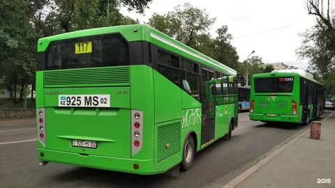 Автобус 117