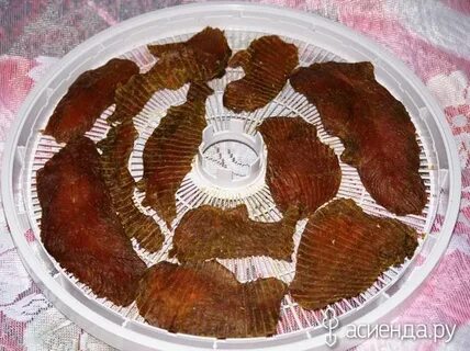 Кальмар в сушилке для овощей рецепт