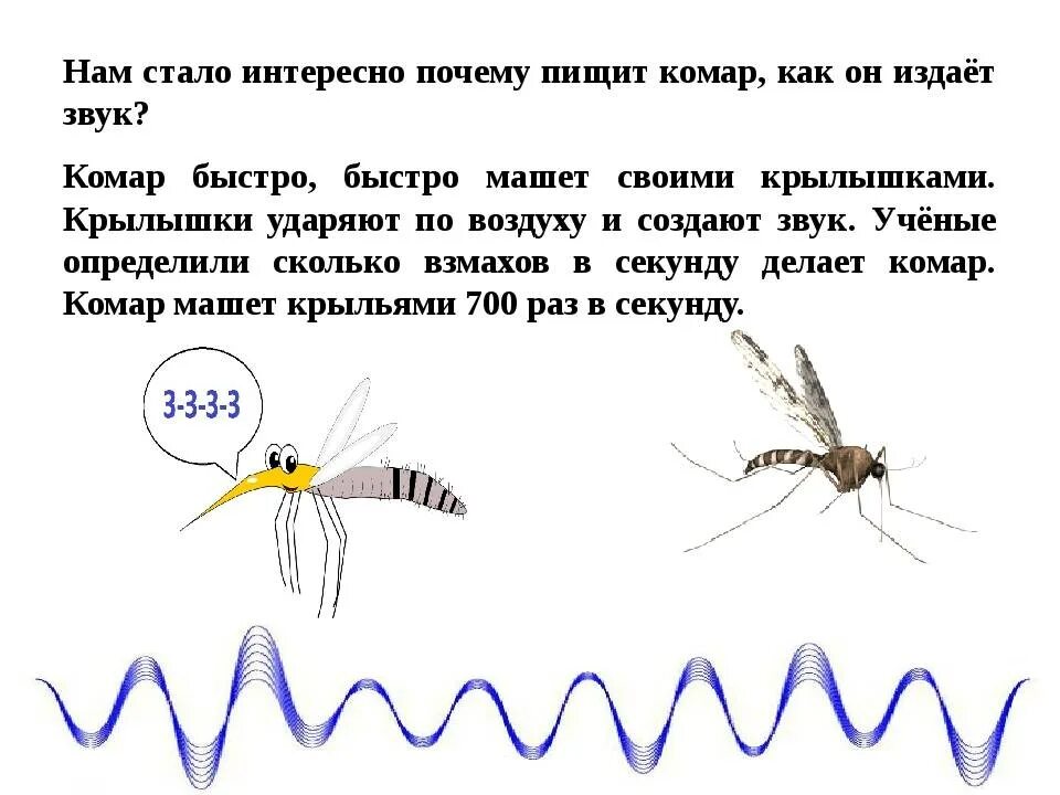 В комнате летает комар что делать. Звук комара. жужжание комара. почему комары пищат. комар пищит.