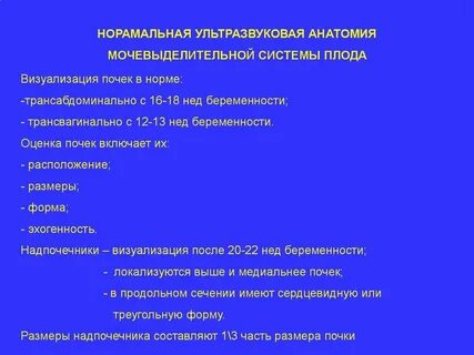 Лучевые методы исследования мочевыделительной системы