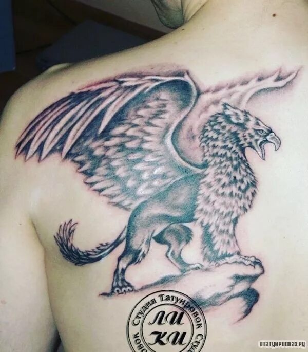 тату гриффон. грифон кан-кереде. тату грифон для девушек. мифические тату. тату мужские грифон.