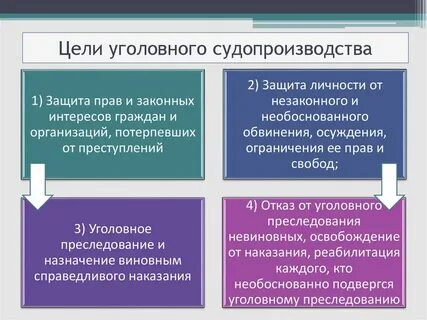 Цель процессуального решения