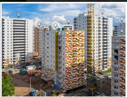 Лесной массив красноярск
