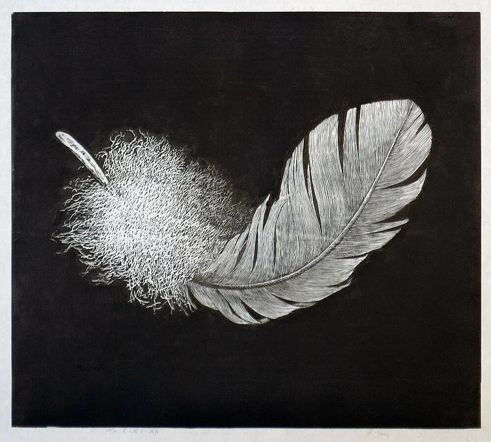 Feather fall перевод. Wuchang fallen feathers. Feather fall перевод. Черно белое перо футаж. Падающие перья.