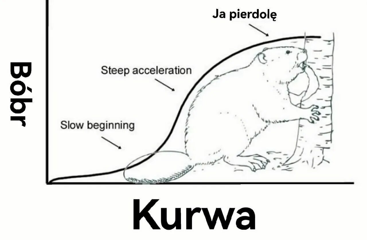 Kurwa perdole. Боберкурва. Бобр kurwa. Bobr kurwa Мем. Бобр курвп.