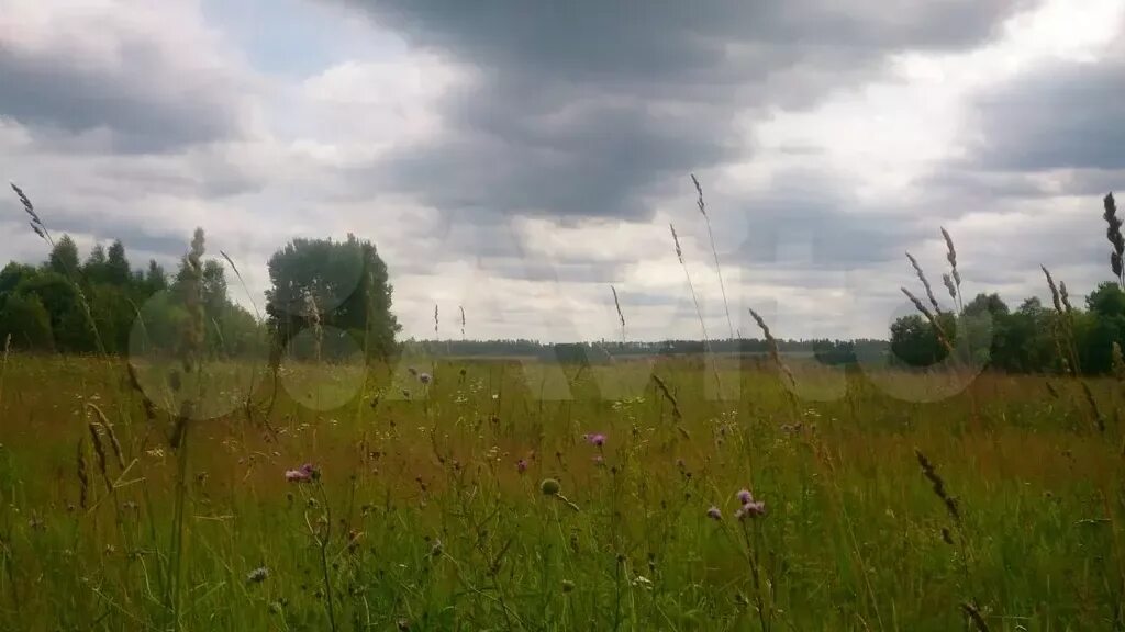 Погода в относово. Погода в относово. Деревня относово. Лагерь в относово в вязьме. Вязьма деревня относово.