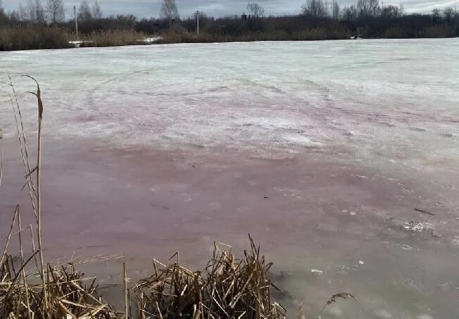 Озеро без воды. Лед на озере. Розовое озеро. Розовый лед. Водоем который окрашивается в нежно розовый цвет