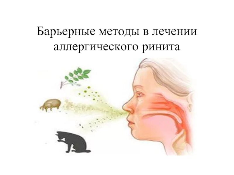 Избавиться от ринита навсегда