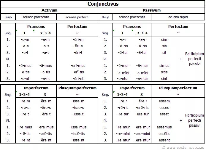 Склонение глаголов в латинском языке таблица. Склонение глаголов латынь. Глаголы в латинском языке таблица. Спряжение глаголов в латинском языке таблица. Сообщество по латыни 10