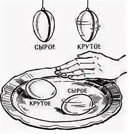 Вращение яйца. Опыт с сырым и вареным яйцом. Как отличить вареное яйцо от сырого. Варёное яйцо крутится или нет.