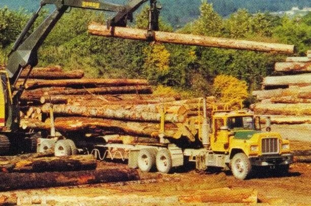 Logging operations. Фургон лесорубов. logging truck 2638k beiben. yarder washington 158. logging washington.
