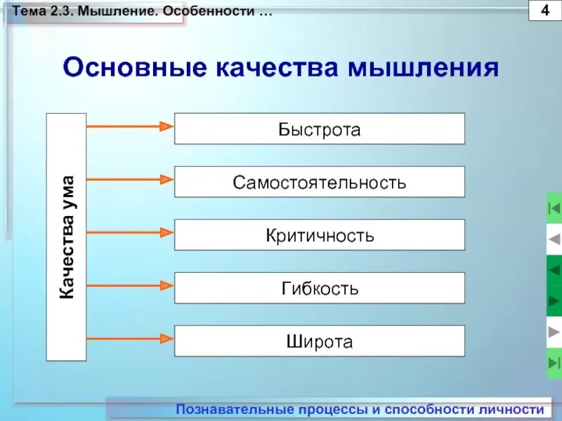 Мышление его формы и методы