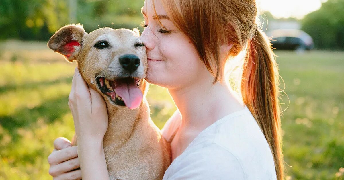 Женщины с собаками на природе. Человек с собакой. Девушка на сабе. Девушка пробует с собакой. Девушки пробуют с собаками.