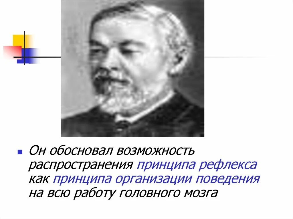 Принцип рефлекторной работы мозга был открыт