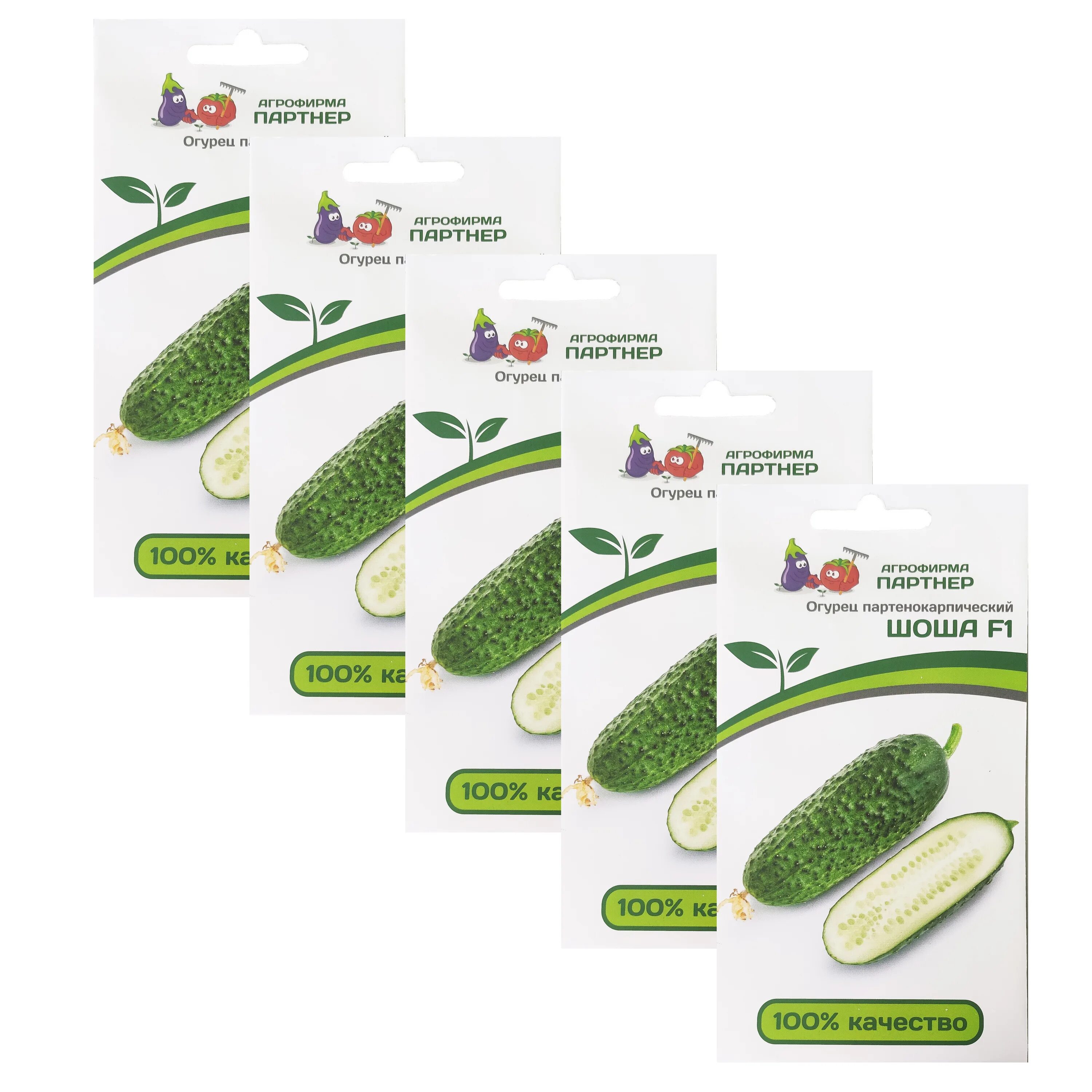 семена огурцов шоша f1. леруа мерлен семена огурцов шоша. огурец шоша партнер. семена огурца шоша f1. огурец шоша f1 описание.