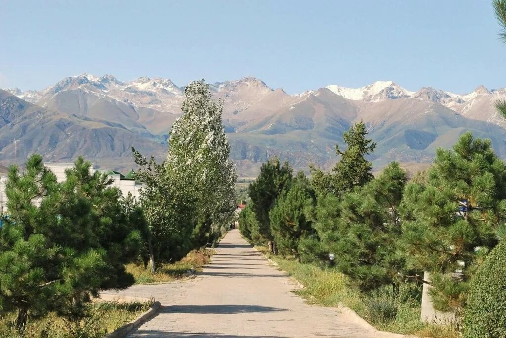 Сыко