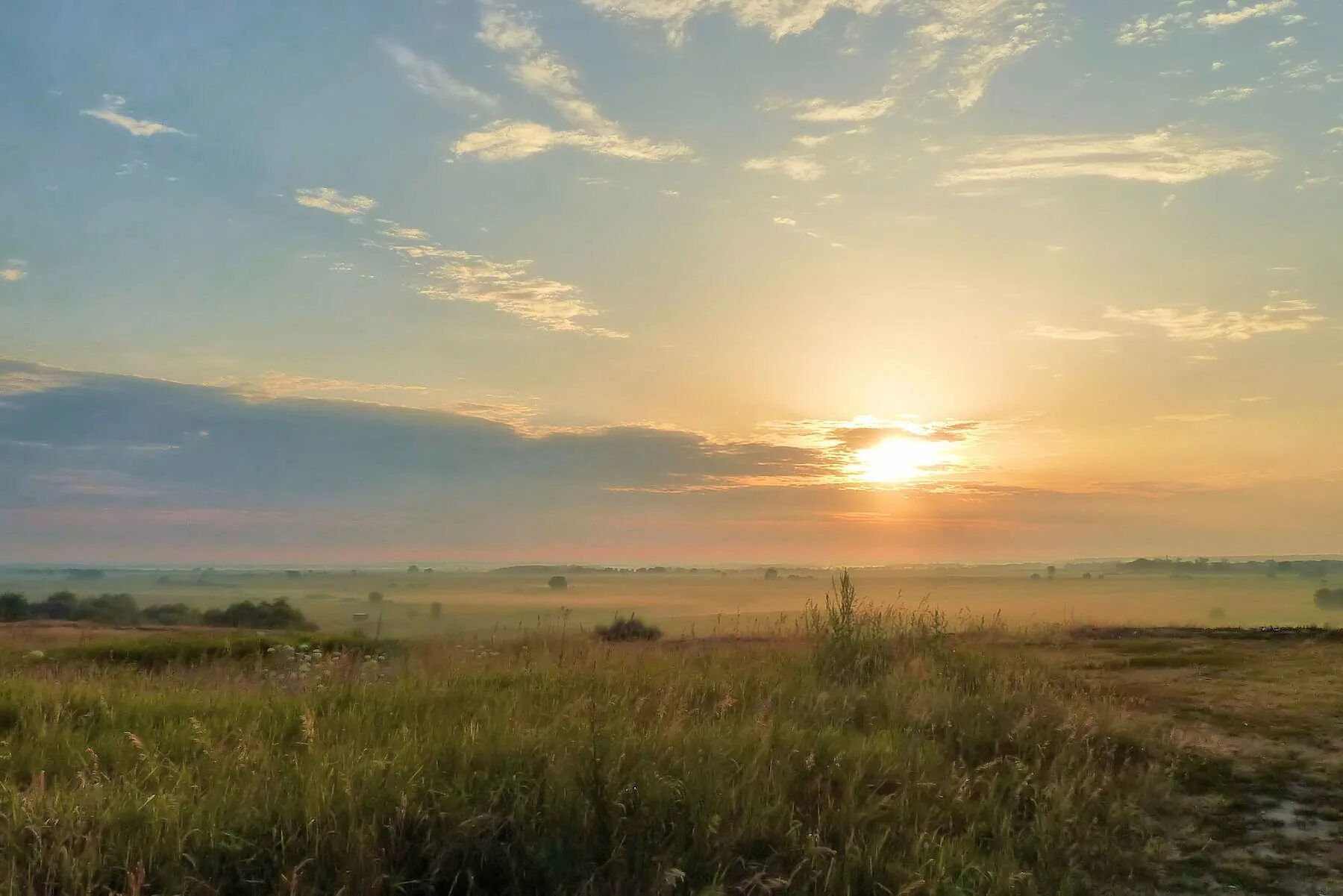 Знойный полдень аксаков. Зной полудня. Природа в полдень. Желтый пейзаж. Июль в живописи.