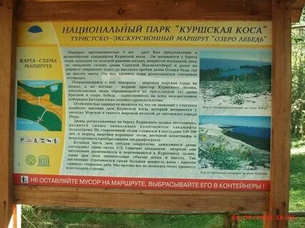 Куршская коса пешком из зеленоградска