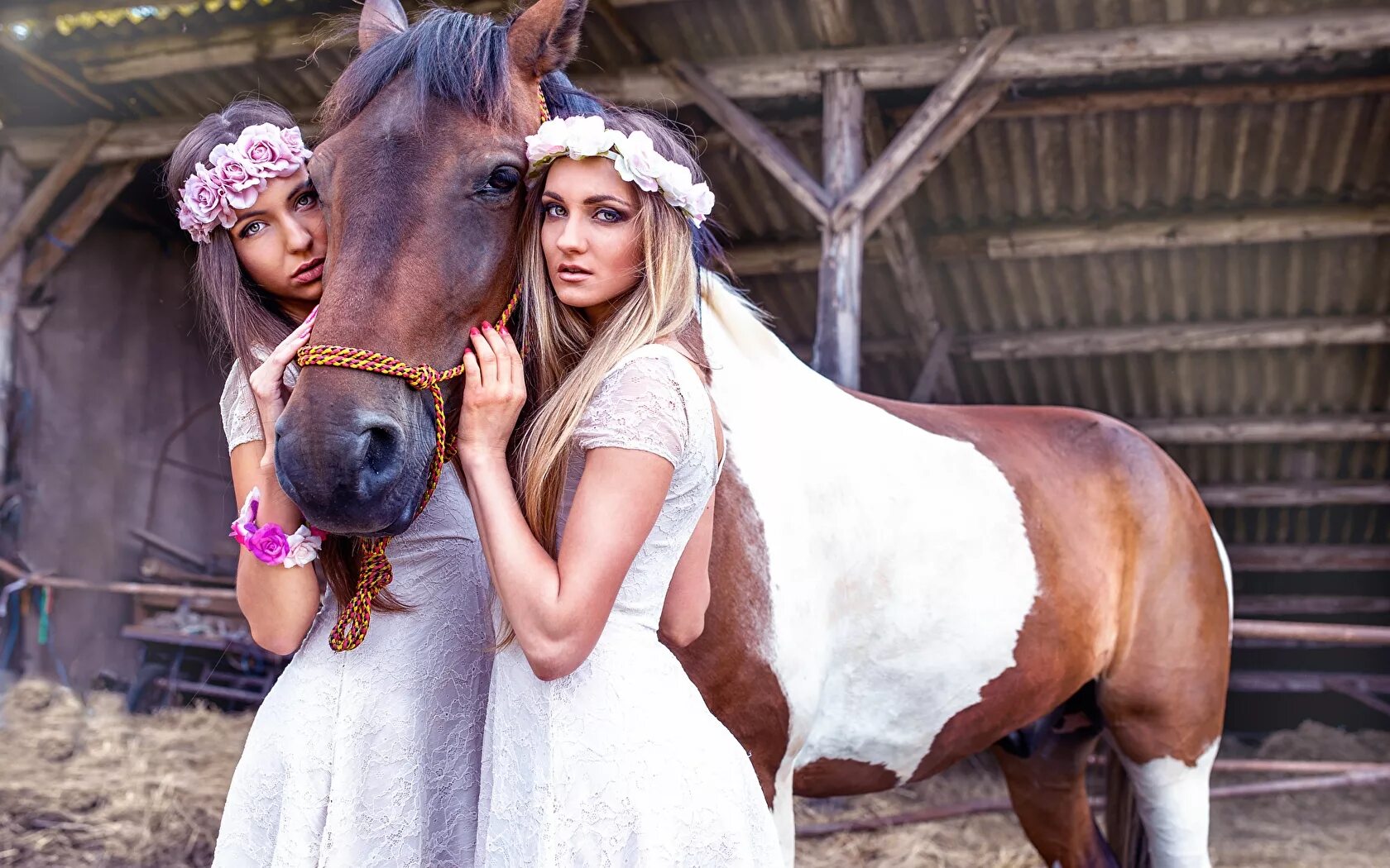Фотосессия с животными. Девушка на черной лошади. Красивая женщина на лошади. Какое девушка животное. Фотосессия с лошадьми.