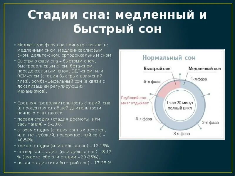 Сколько часов должен длиться сон человека