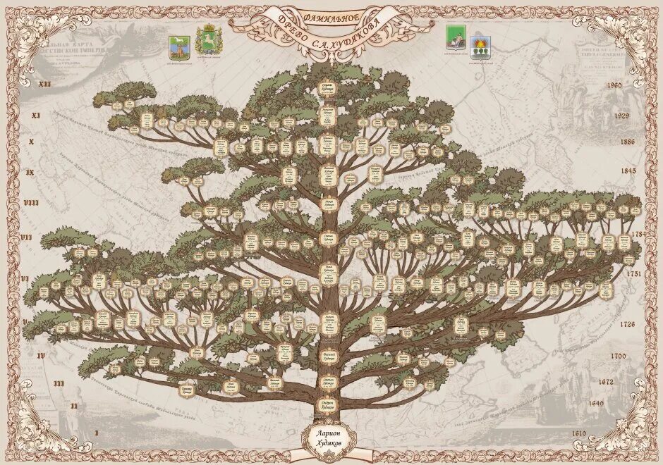 геологическое дерево. родословное древо князей юсуповых. шежере родословная. генеалогия сайт поиск предков. генеалогическое древо лавкрафта.