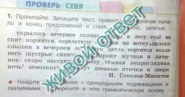 Соколов-микитов скрылось вечернее солнце птицы. Скрылось вечернее солнце 4 класс русский язык. Русский язык 5 класс между стволов сосен промелькнула белка. Слова в правильном порядке и запиши предложения. Спишите поставьте знаки.