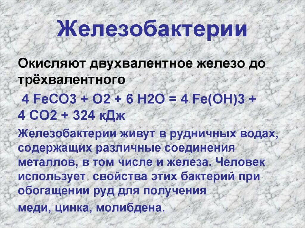 Железобактерии. Хемосинтез презентация. Железобактерии реакции хемосинтеза. Железобактерии презентация. Реакция двухвалентного железа