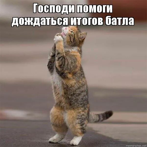 я думаю я думаю. дождаться результатов. дождаться результатов. картинка множественного выравнивания. множественное выравнивание последовательностей msa.