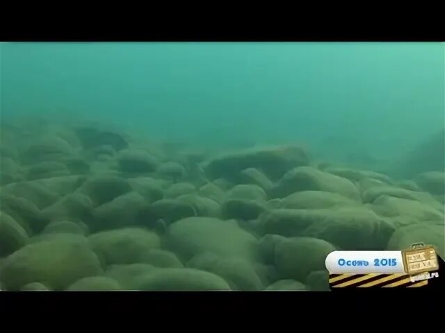 Абхазия под водой