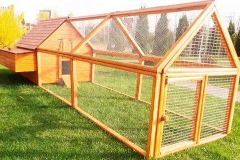 Курятник с выгулом 20 кур