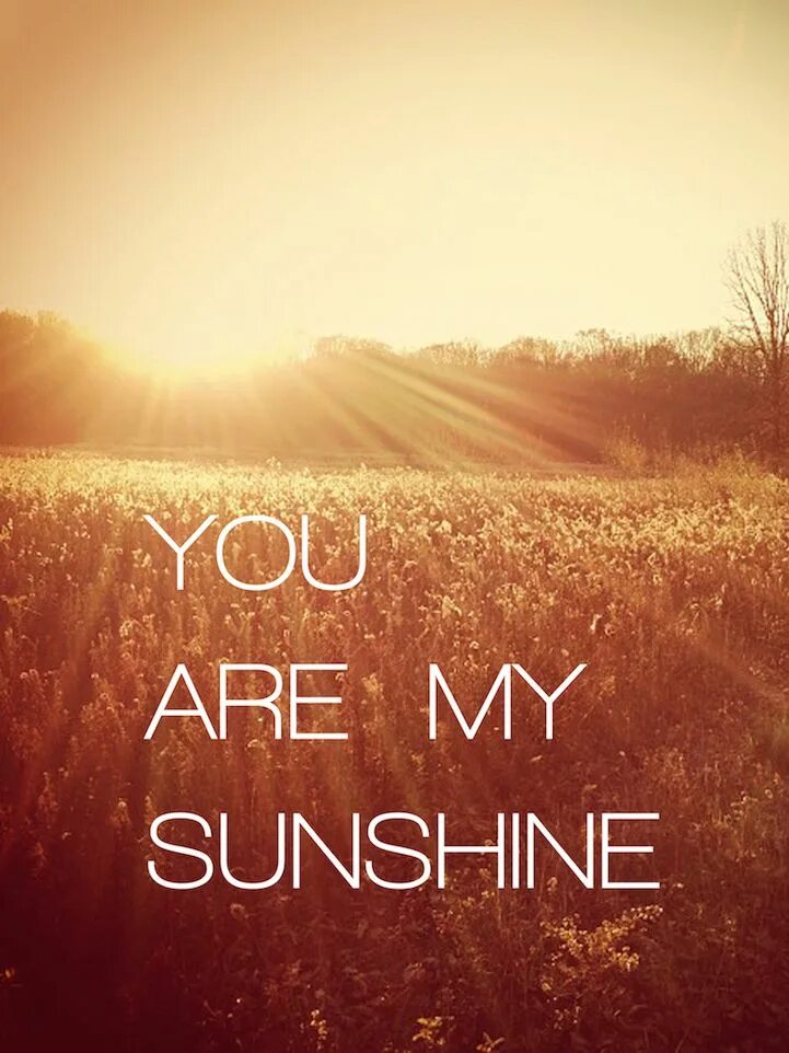 Sunshine i love you. You only sunshine. You are sunshine. Авы you are my sunshine. You are my sunshy.