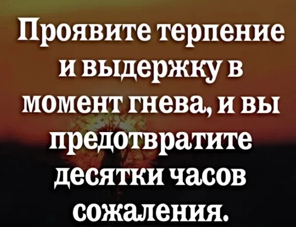 Терпеливый корень. Аир болотный корневища. Цитаты про терпение и выдержку. Офиоболезная гниль пшеницы. Иллюстрация к пословице корень учения горек да плод его сладок.