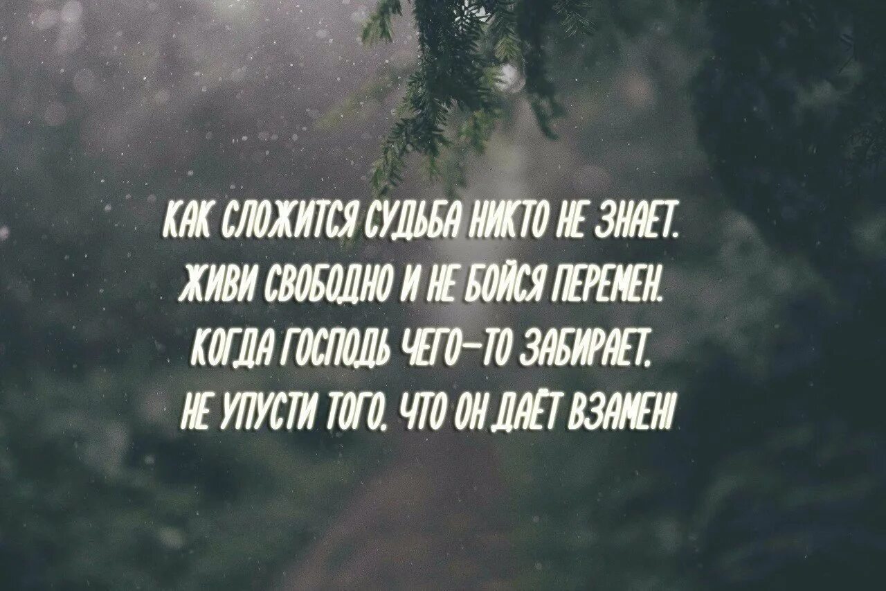 Душевные цитаты. Крик души афоризмы. Статусы про крик души со смыслом. Крик души цитаты. Крик души словами