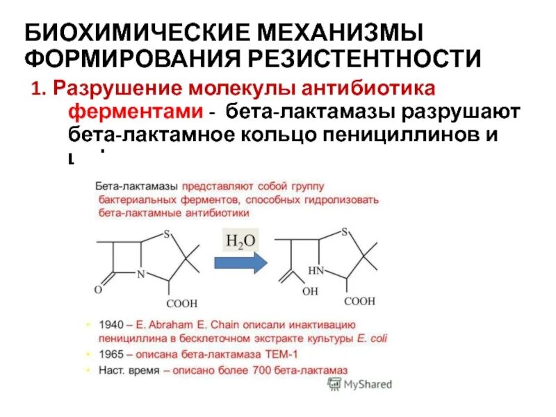 Антибиотики бета лактамной структуры. Механизм бета лактамных антибиотиков. бета-лактамные антибиотики формула. бета лактамное кольцо антибиотики. бета лактамные антибиотики пенициллины.