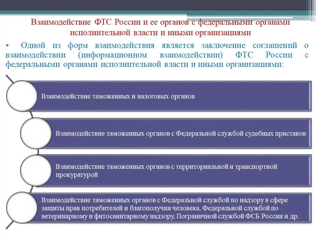 Таможенные и налоговые органы осуществляют. Взаимодействие таможенных органов. Органы исполнительной власти взаимодействующие с таможней. Взаимодействие таможенных и налоговых органов. С кем взаимодействуют таможенные органы.