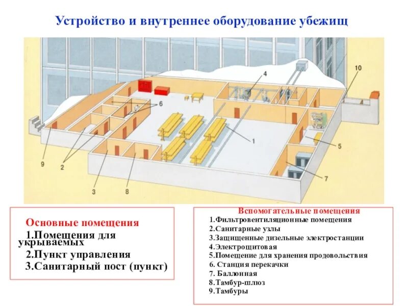 Можно ли получить убежище