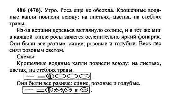 Русский язык 6 класс разумовская 35. Русский пятый класс номер 486. 486 Русский язык 5 класс. Домашнее задание 5 класса упражнение 486.