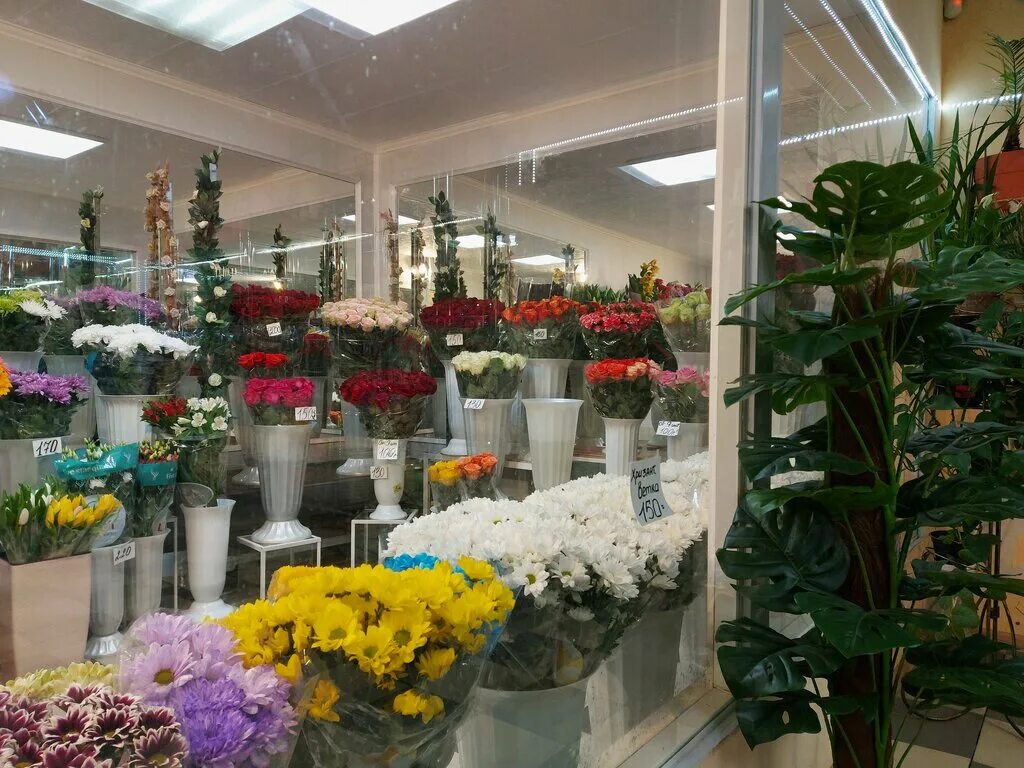 Сюрприз 51 мурманск цветы. Цветочный магазин мурманск на гончарова. Салоны цветов мурманск. Роял фловер. Цветочный магазин мурманск.