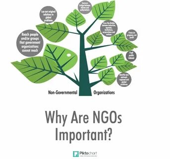 The environment organization is