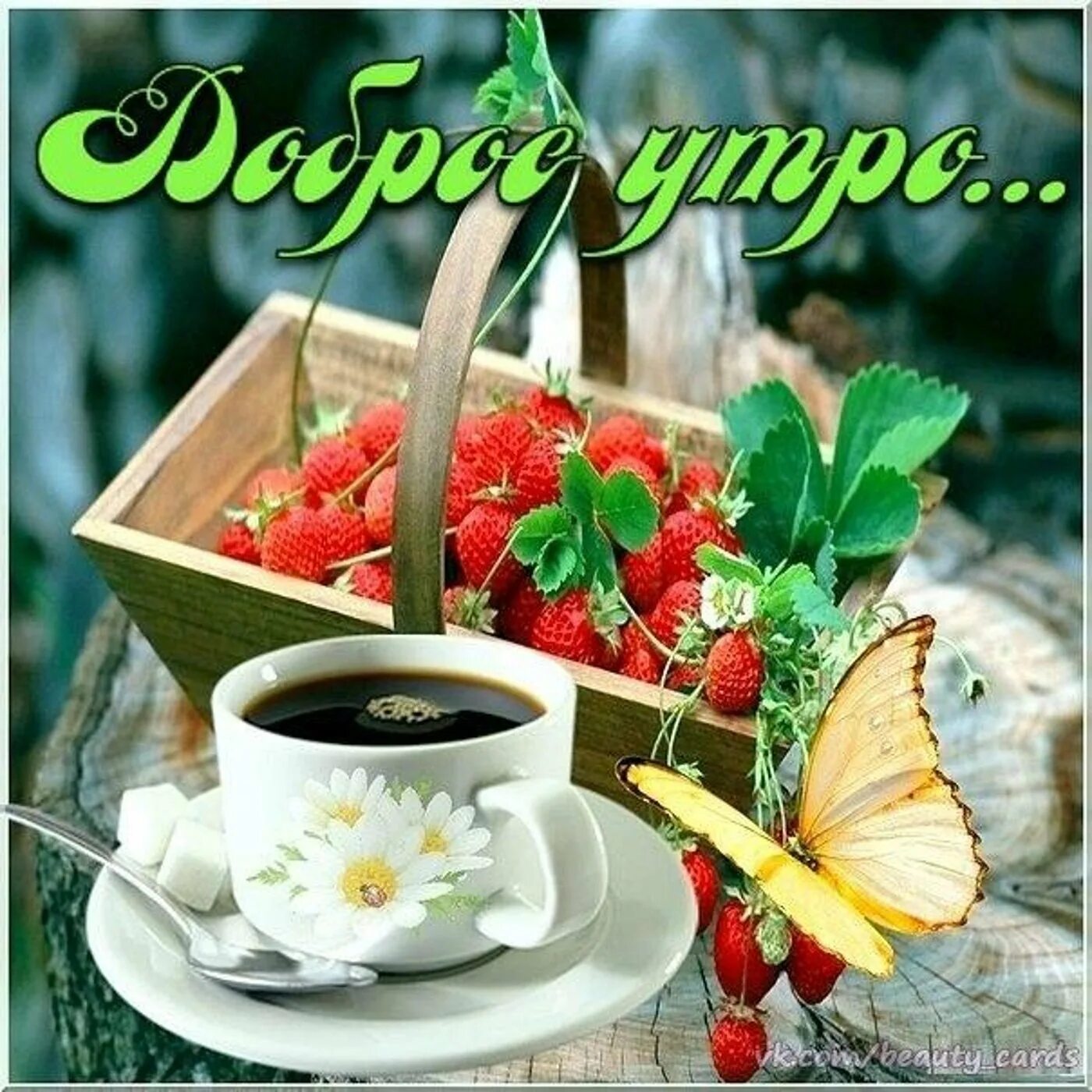 Побольше открыток с добрым утром. Открытки доброе утро. Открытки с добрым утром красивые необычные. С добра утром открытки. Открытки сидобрым утром.