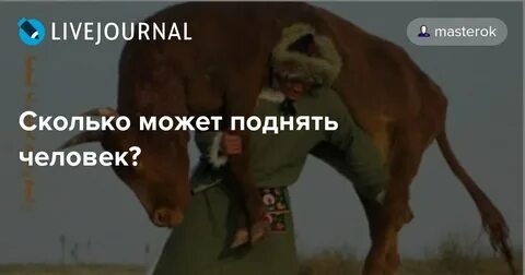 Сколько может поднять человек