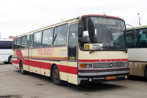 Автобус пермь орда