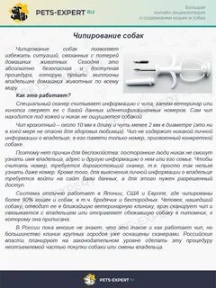 Зачем чипируют собак