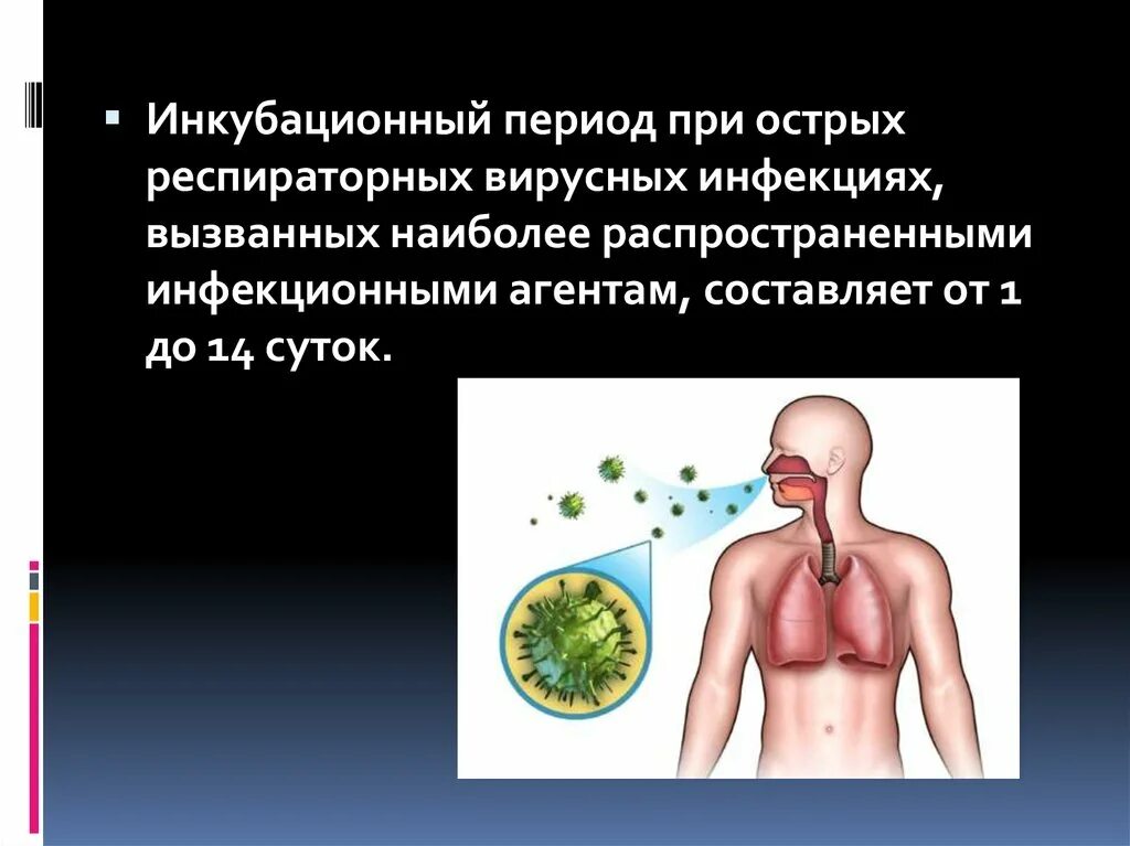 Инкубационный период при вирусном заболевании. Инкубационный период при острых респираторных вирусных инфекциях. Инкубационный период острого респираторного заболевания. Инкубационный период респираторной вирусной инфекции.