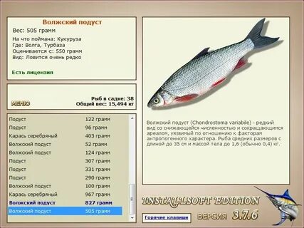 Волжский подуст реальная рыбалка